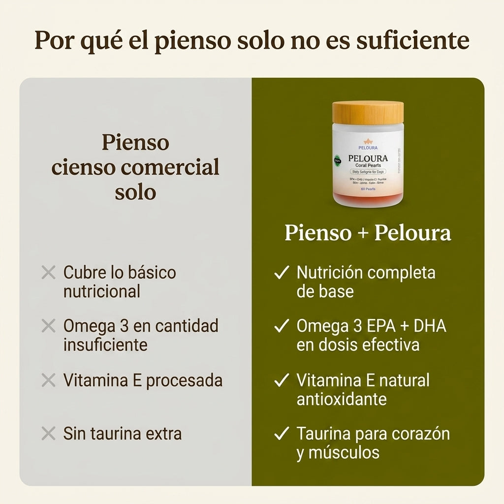 Peloura Omega 3 para Perros — Piel, Pelo y Articulaciones | 60 Chuches