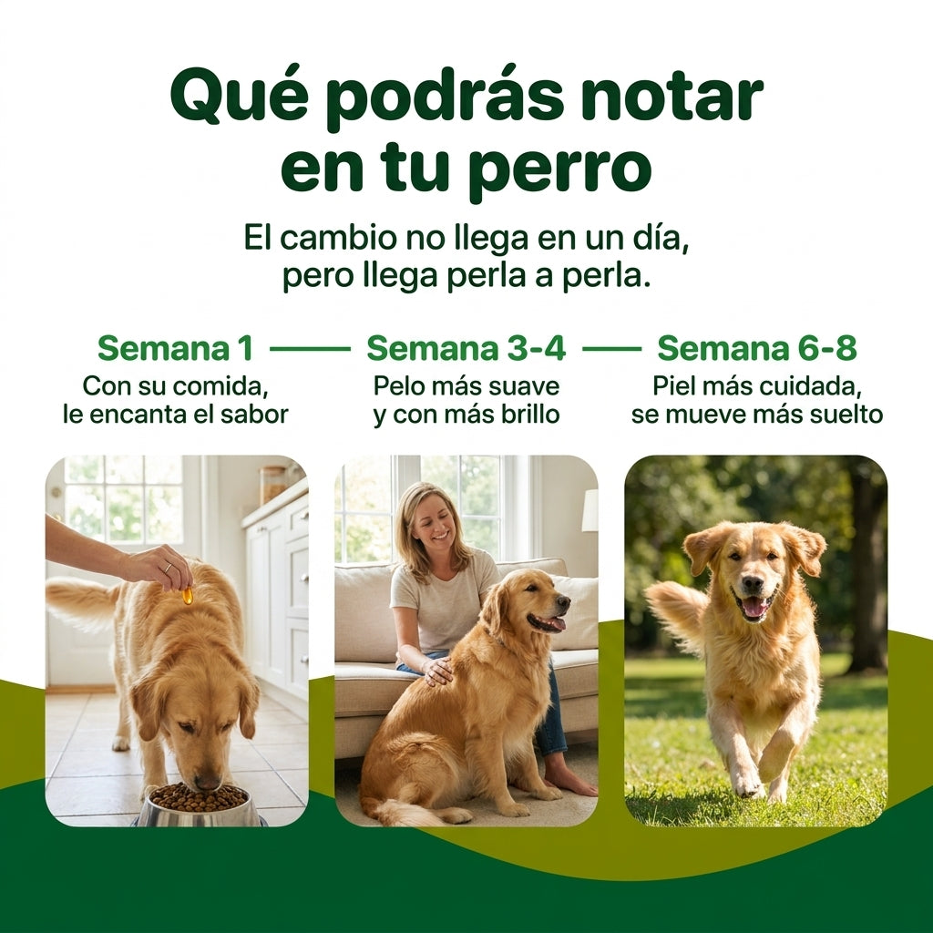 Peloura Omega 3 para Perros