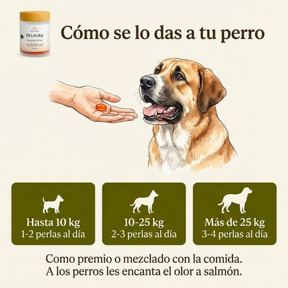 Peloura Omega 3 para Perros — Piel, Pelo y Articulaciones | 60 Chuches