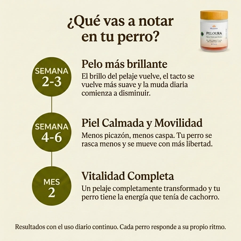 Peloura Omega 3 para Perros — Piel, Pelo y Articulaciones | 60 Chuches