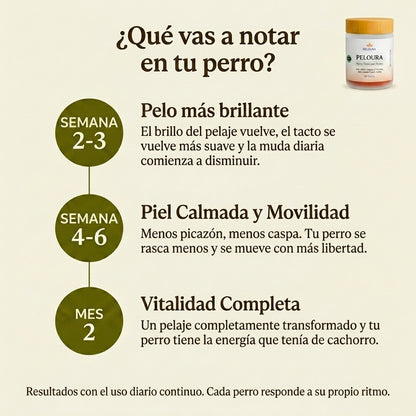 Peloura Omega 3 para Perros — Piel, Pelo y Articulaciones | 60 Chuches